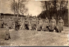 Занятия в военной школе служебного собаководства